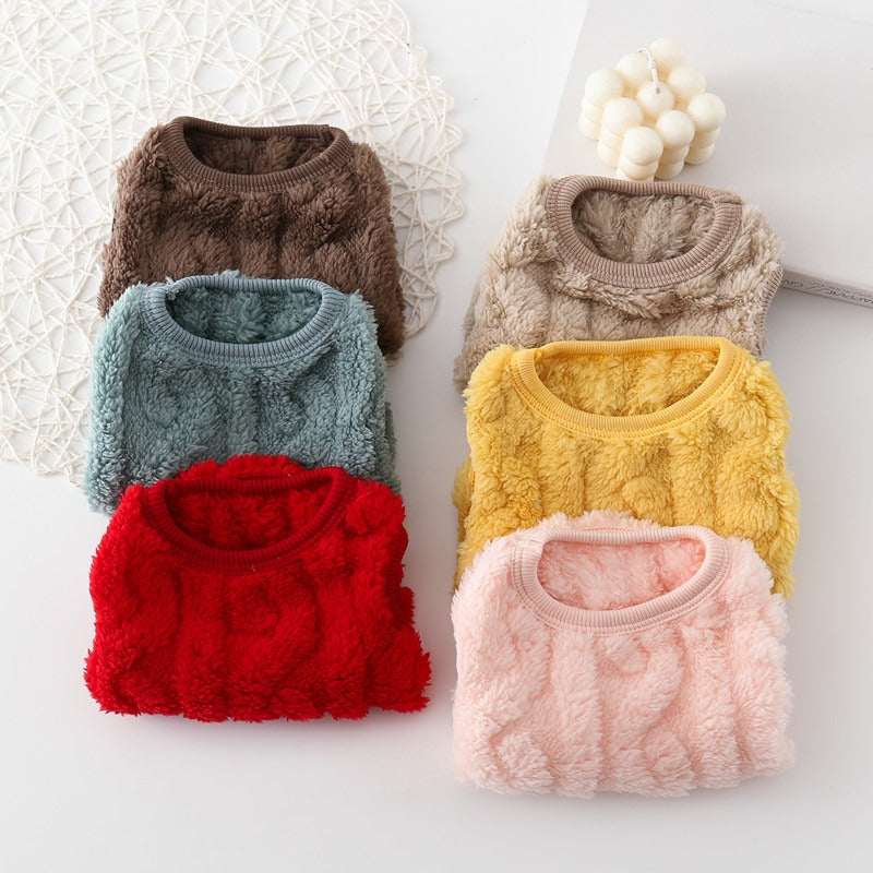 Autumn and Winter New Pet Clothes Dog Warm Cotton Jacket Vest Double Sided Velvet Vest Teddy Bears Cat Clothes