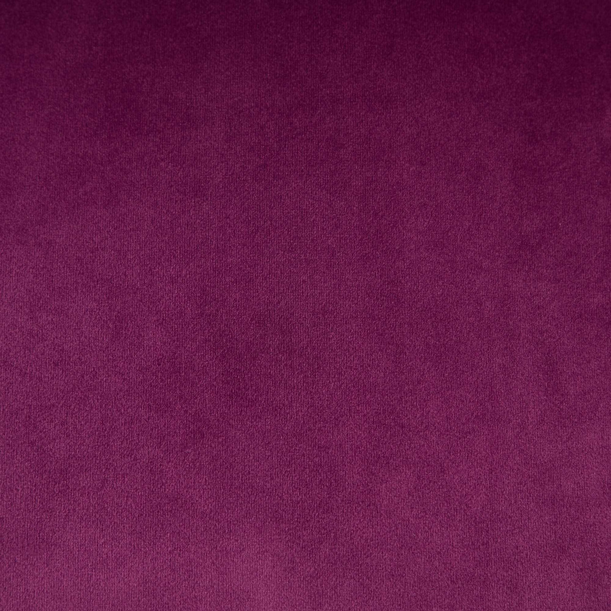 Office Chair Modern Velvet Upholstered Tufted Button (Purple)