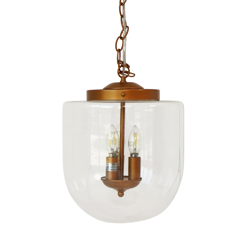 Delphi Clear Glass Pendant Light
