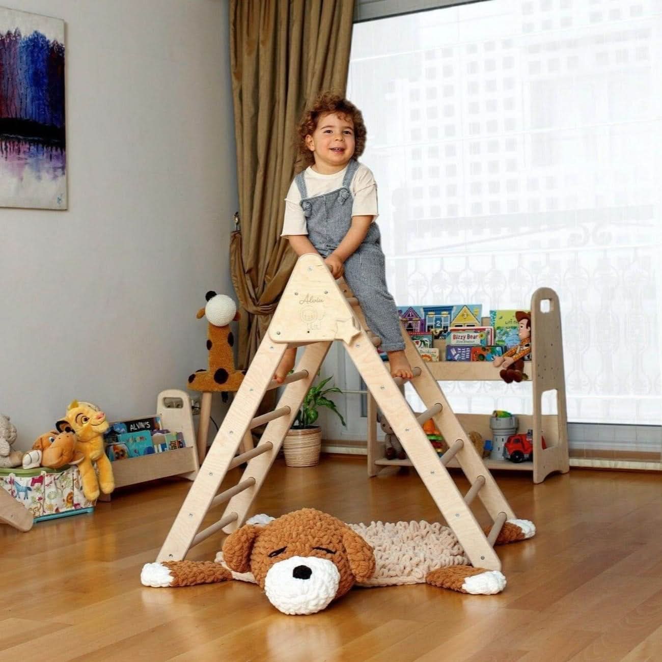 Climbing Triangle, Arch Rocker, Pillow, and 2in1 Ramp / 4 Pieces Set
