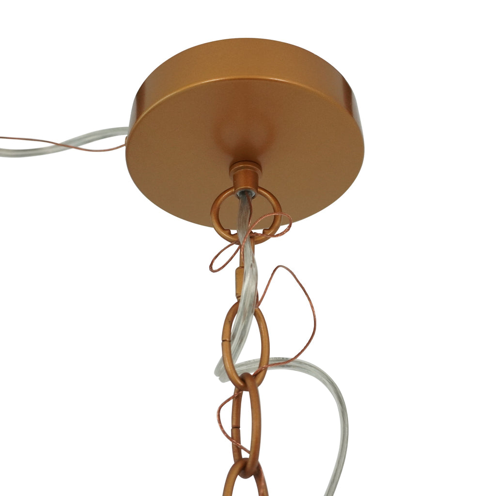Delphi Clear Glass Pendant Light