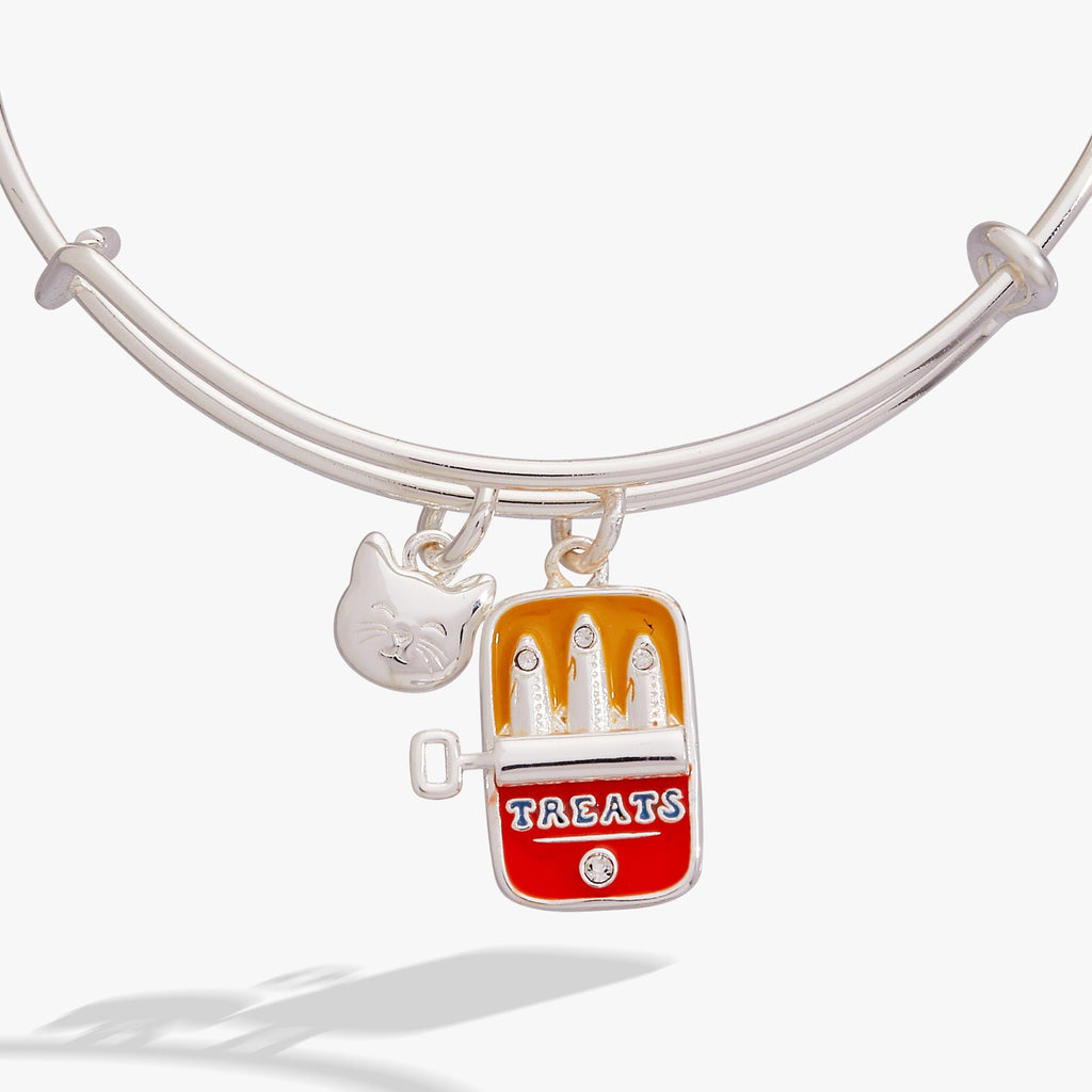 Cat & Sardine Tin Duo Charm Bangle